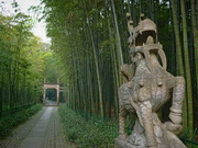 visite Forêt de bambous