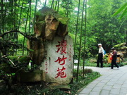 visite Parc de la tour Wangjiang