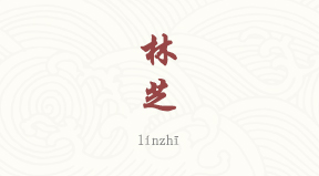 Nyingchi chinois simplifié & pinyin