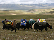 visite Vivez l'aventure au Tibet : randonnée sur le toit du monde