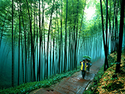 visite Paysages naturels du Sichuan