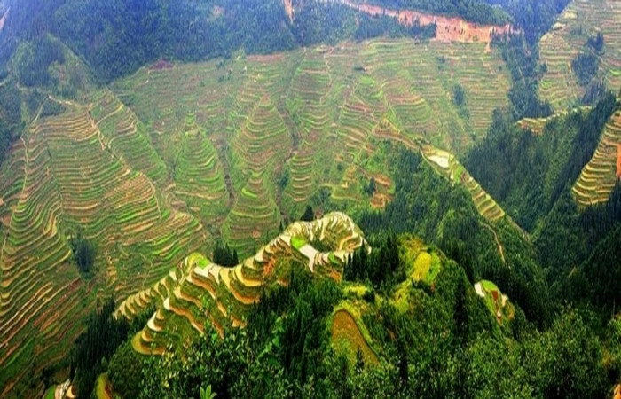 Rizières en terrasse de Sanjiang