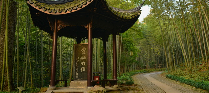 Forêt de bambous Hangzhou Zhejiang