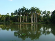 Jardin botanique tropical de Menglun