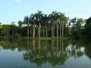 visite Jardin botanique tropical de Menglun