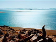 visite Lac Namtso