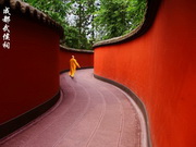 visite Temple de Wuhou