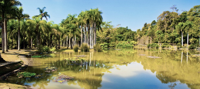 Jardin botanique tropical de Menglun Xishuangbanna Yunnan