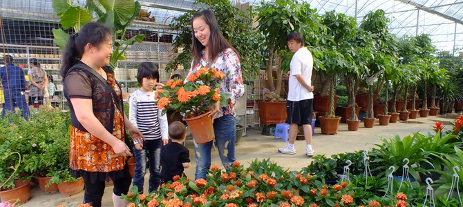 Marché aux fleurs et aux oiseaux Kunming Yunnan