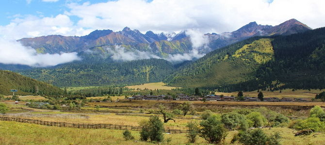 Forêt de Lulang Nyingchi Tibet