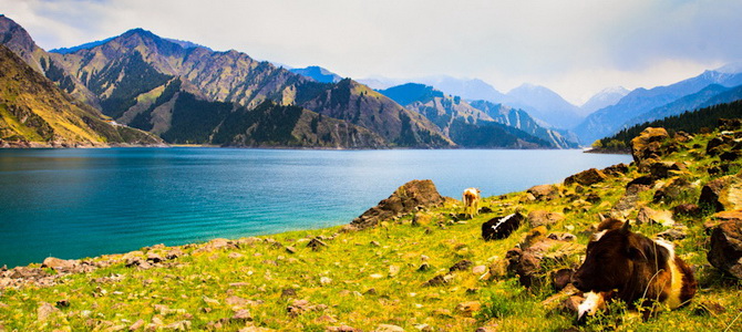 Lac Tianchi Urumqi Xinjiang