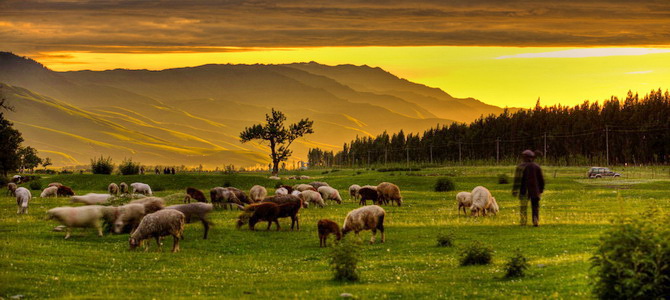 Prairie de Nalati Ili Xinjiang