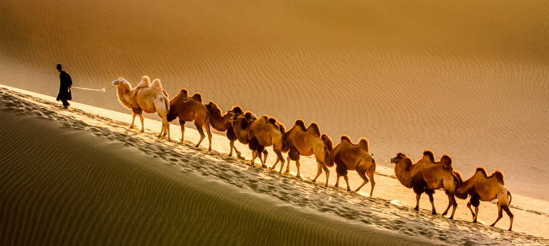 Désert du Taklamakan Bayingol Xinjiang