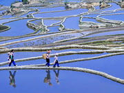 Rizières en terrasse de Yuanyang