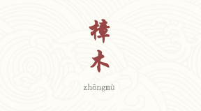visite Zhangmu
