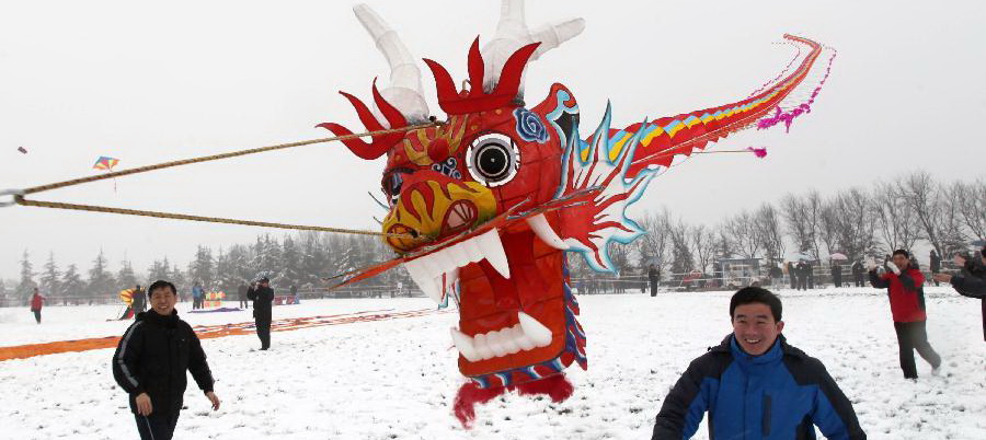 Cerf-volant dragon chinois traditionnel -  France