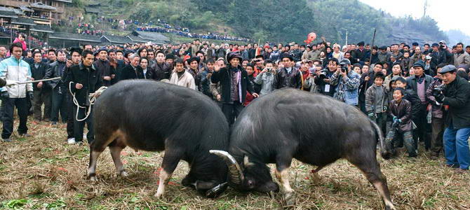 Liping Guide touristique Chine