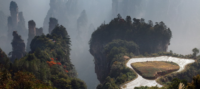 Parc forestier de Zhangjiajie Zhangjiajie Hunan