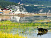 visite Réserve naturelle de Napahai