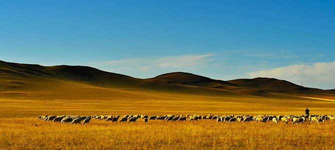 Steppes de Xilingol Xilingol Mongolie Intérieure