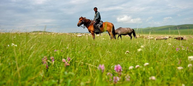 Steppes de Wulagai Xilingol Mongolie Intérieure