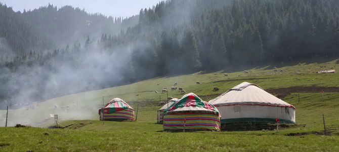 Pâturages de Nanshan Urumqi Xinjiang