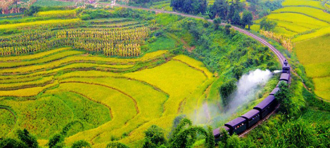 Train à vapeur de Jiayang Leshan Sichuan