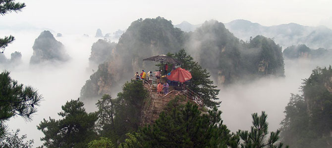 Réserve naturelle de Yangjiajie Zhangjiajie Hunan