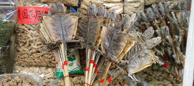 Marché de Qingpin Canton Guangdong