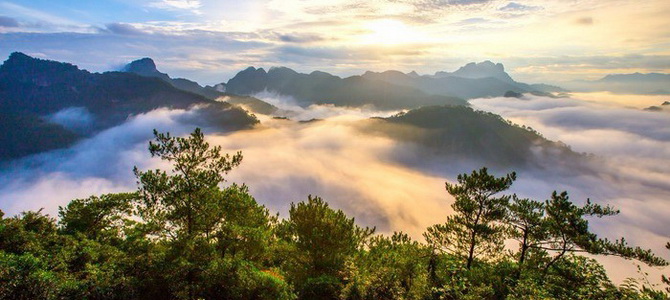 Montagne Nannuo Xishuangbanna Yunnan