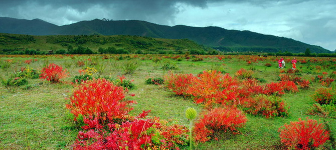 Petit Zhongdian à Yangtangqu Shangri-La Yunnan