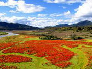 visite Petit Zhongdian à Yangtangqu