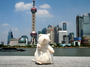 visite Un jour d'excursion privée à Shanghai