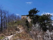 visite Une journée d'excursion privée sur la Grande Muraille sauvage