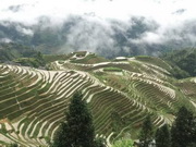 visite De la frontière vietnamienne aux pics de Guilin - Voyage au Guangxi