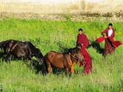 visite Voyage confins du Gansu et Sichuan