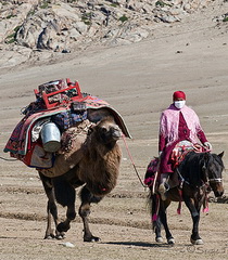 Route de la Soie