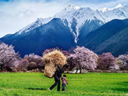 visite Du Yunnan au Tibet par la route : ethnies, festivités et paysages naturels