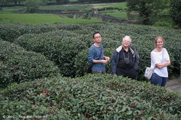 Voyage Chine Escapade, Guy C.,  village du thé de Hangzhou