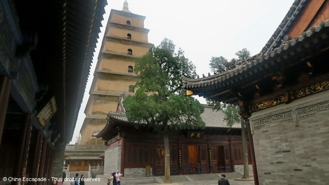 Voyage Chine Escapade, Grande Pagode de l'Oie Sauvage