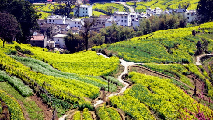 Rizières en terrasse de Jiangling