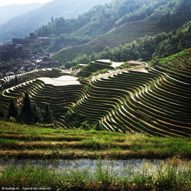 Voyage Chine Escapade, Nadège M., Rizières en terrasse de Longsheng