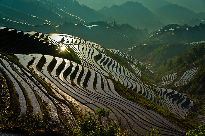 Rizières en terrasse de Longsheng