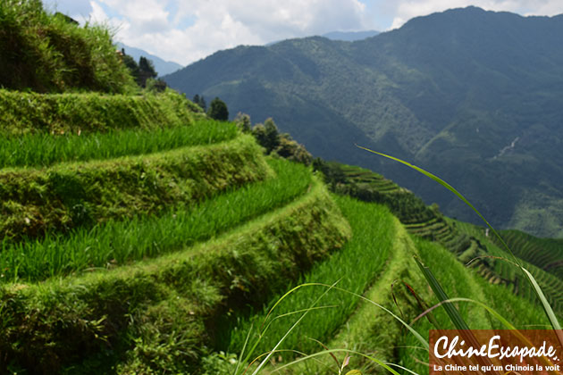 Rizières de Longsheng, Chine Escapade