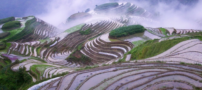 Rizières de l'échine du Dragon