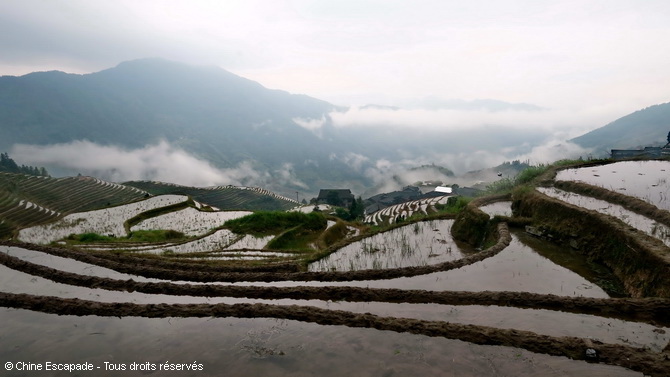 Voyage Chine Escapade, Rizières en terrasse Longsheng