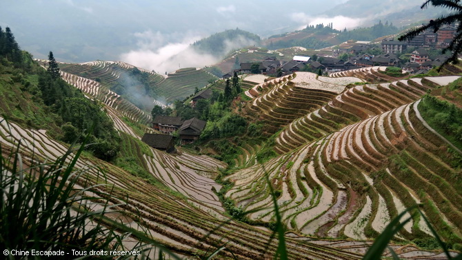 Voyage Chine Escapade, Rizières en terrasse Longsheng