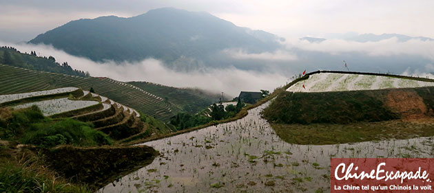 Rizières en terrasse de Longsheng, mai 2016