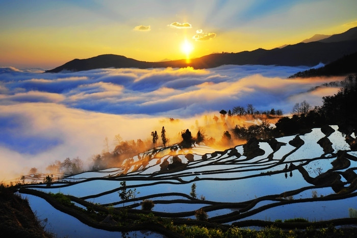 Rizières en terrasse de Yuanyang