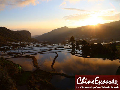 Rizières en terrasse de Yuanyang, Yunnan